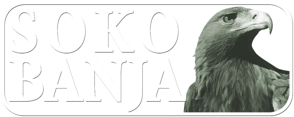 Soko Banja